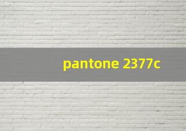 pantone 2377c